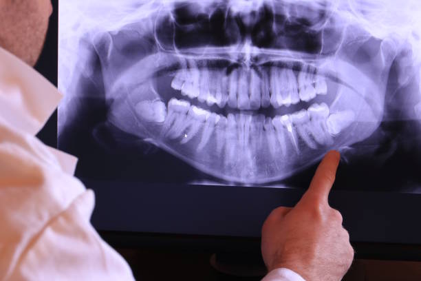 Best Emergency X-Rays and Diagnostics in Sleepy Hollow, IL